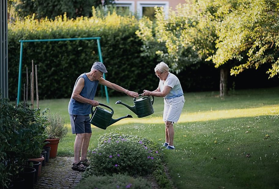 Elderly couple enjoying gardening and watering plants on a sunny day — legat de azil seniori Elderly couple enjoying gardening and watering plants on a sunny day — legat de azil seniori
